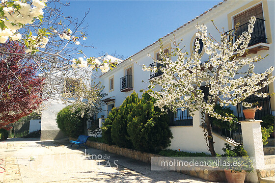 EL MOLINO DE MORILLAS - photo 6