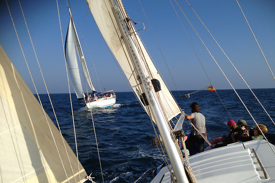 FARO DEL SUR - photo 0