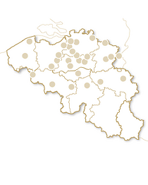 Cinema - 1 jaar