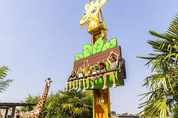 Jungle City