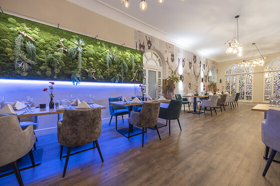 Fletcher Waldhotel Nordrhein-Westfalen (HOTEL) - photo 5