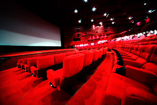 Cinema - 1 ticket