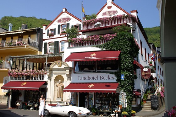 Landhotel Becker - photo 10