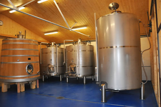 ARBAS BODEGAS Y VIÑEDOS - photo 0