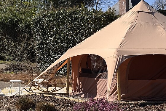 De Witte Merel & Hotel at home - photo 24