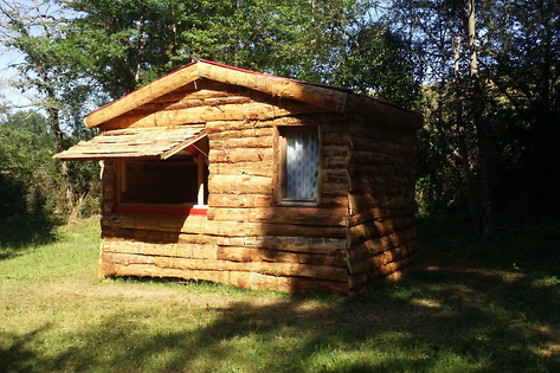 L'alternatif - photo 10