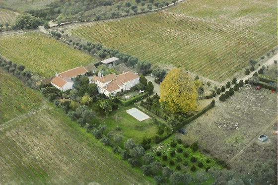 QUINTA DA FATA - photo 4