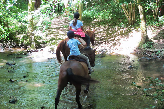 Ferme du Lac - photo 1