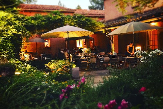 Restaurant L'Esprit Jardin Hôtel des Pins - photo 4