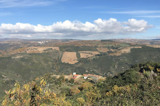 Mosteirinho Natura et Salus Turismo Rural - photo 3