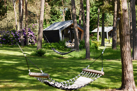 KampinaStaete - photo 5