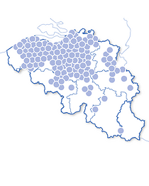 Hôtels d'exception en Belgique