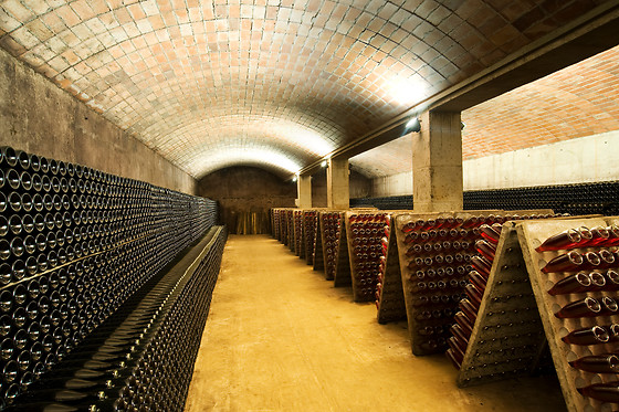 CELLER VELL - CAVATREN H0 - photo 1