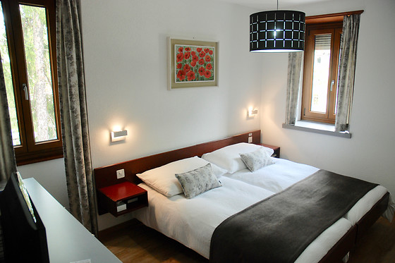 Hôtel de la Dent du Midi** - photo 3