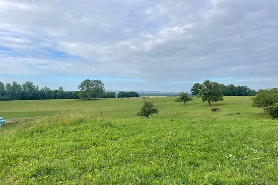 Ferme de la Harnoterie - photo 13
