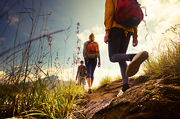 TERRANATUR