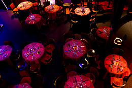 Cabaret Cirque Le Zèbre