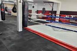 B-Fight Champion Team Portugal