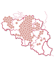 Wereldkeuken