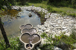 Oasis de Bellecombe