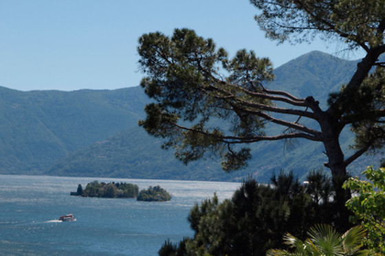 Hotel Collinetta Ascona*** - photo 2