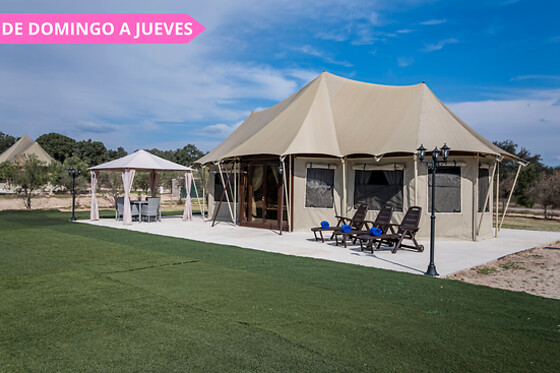 EL TORIL - photo 3