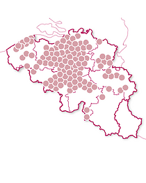 Typiquement belge