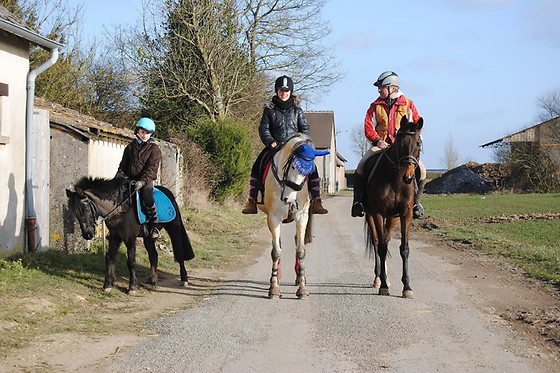 Ecuries Du Grand Chemin - photo 1