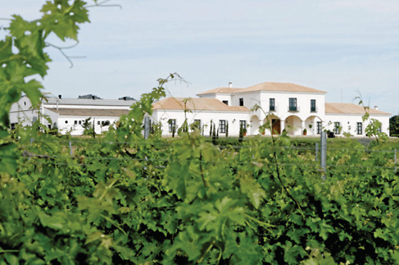 BODEGA VALDEALTO - photo 6