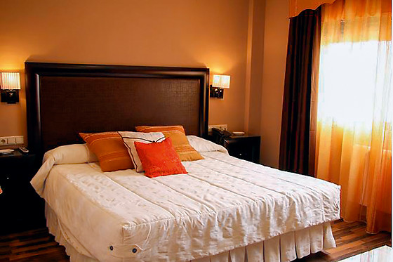 HOTEL MULHACEN - photo 0