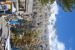 Hôtel-Restaurant Aiguille de la Tza