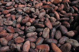 Délices & Chocolats