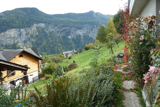 B&B Chez Le Tchoum - photo 4
