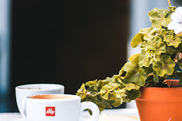 Bob Caffè e Vino