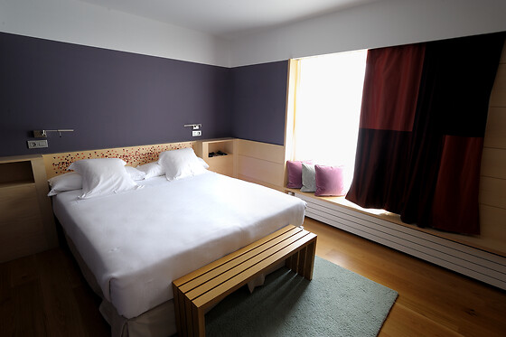 HOTEL RESORT BALNEARIO DE PANTICOSA - photo 14