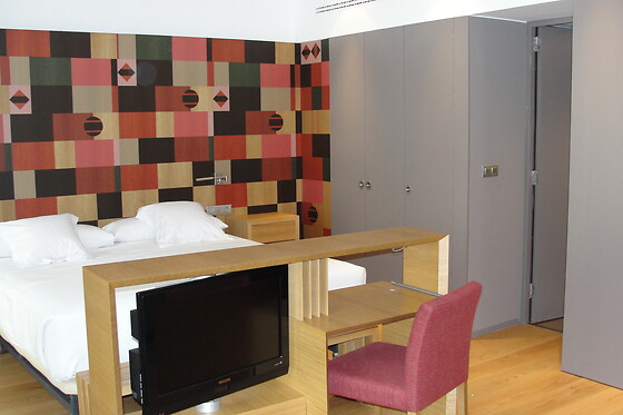 HOTEL RESORT BALNEARIO DE PANTICOSA - photo 27