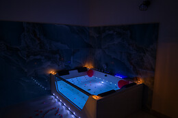 Zizza Wellness