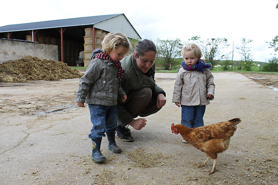 La Ferme des Pignons - photo 7