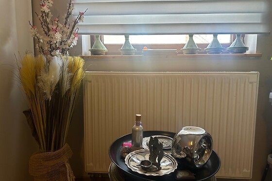 Shodan Essence - photo 3