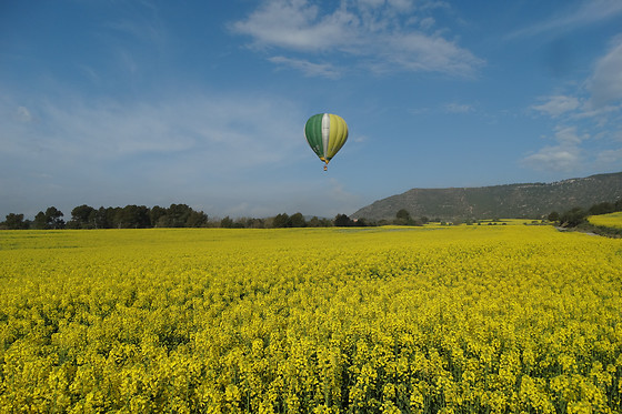 CAMINS DE VENT - photo 9