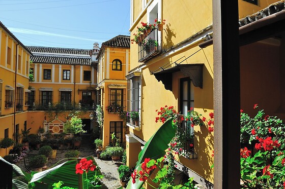 Online Booking EPS - photo 0