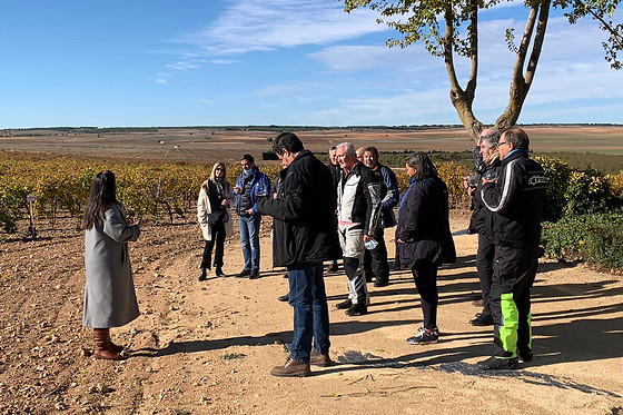 BODEGAS MONT REAGA - photo 6