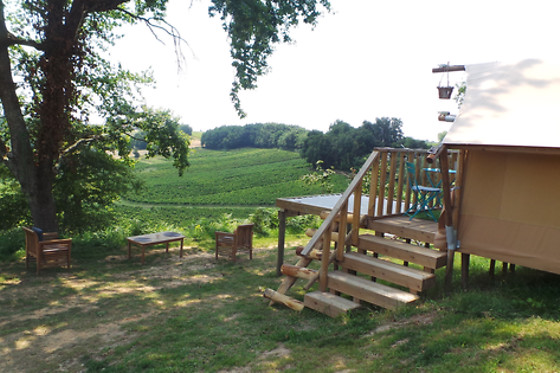 Château Tertre de Pezelin - photo 2