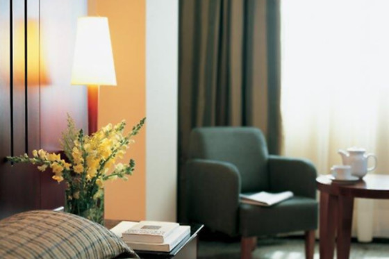 HOTEL AMALTEA - photo 4