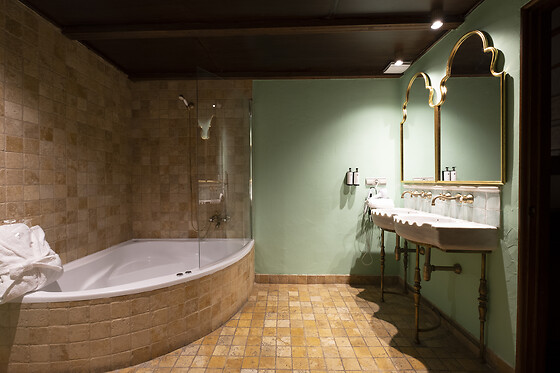HOTEL CETINA PALACIO DE LOS SALCEDO - photo 17
