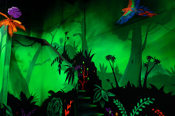 Laser World O’Parinor – Aulnay-sous-Bois - photo 1