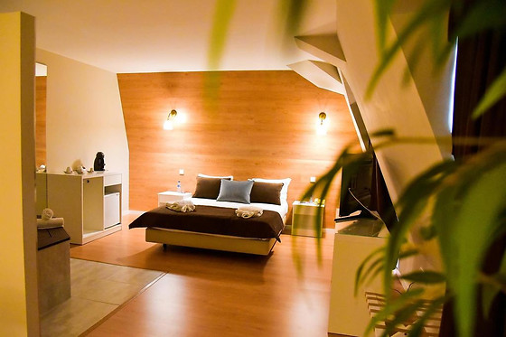 DOURO MARINA HOTEL & SPA **** - photo 4