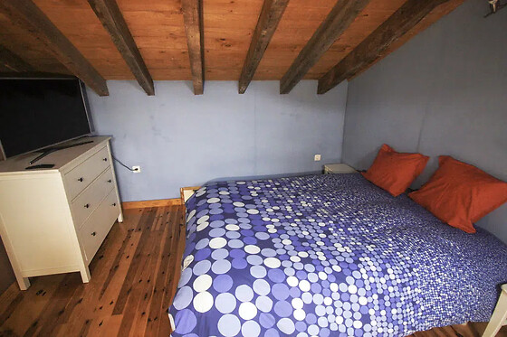 CASA RURAL LA ESTACIÓN DEL RIO LOBOS - photo 6