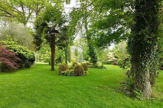 Les roulottes de kuzco - photo 6