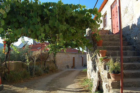 QUINTA DO SEIXO - photo 2